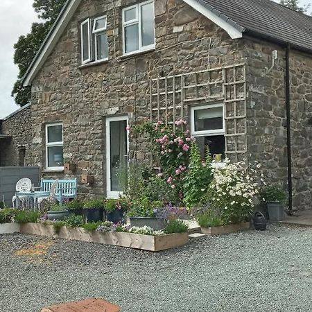 Pant Glas Barn Llanbrynmair Eksteriør billede
