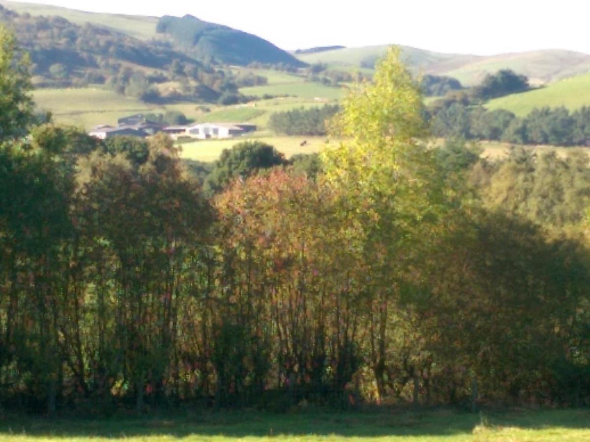 Pant Glas Barn Llanbrynmair Eksteriør billede