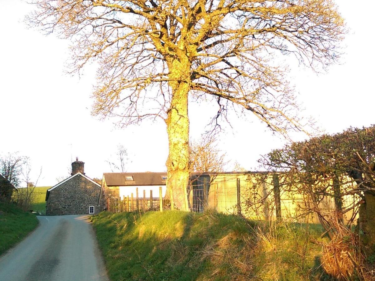 Pant Glas Barn Llanbrynmair Eksteriør billede